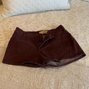 Hollister maroon denim short shorts